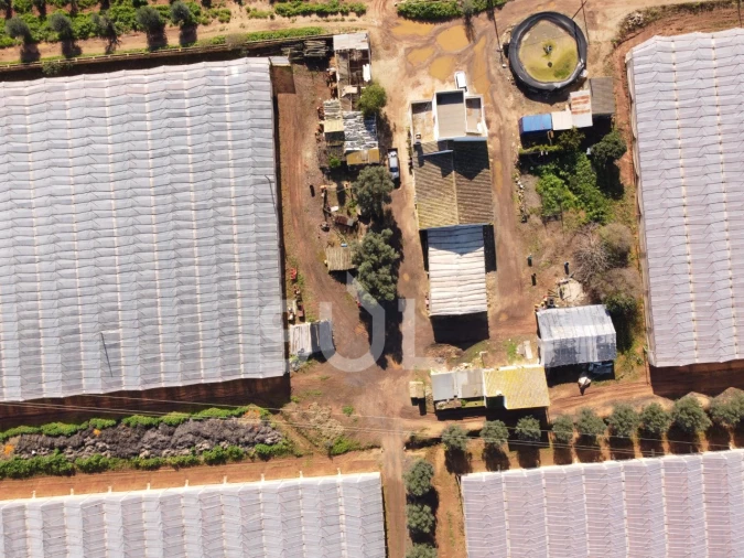 Terreno para Venda em Conceição e Estoi Foto 2