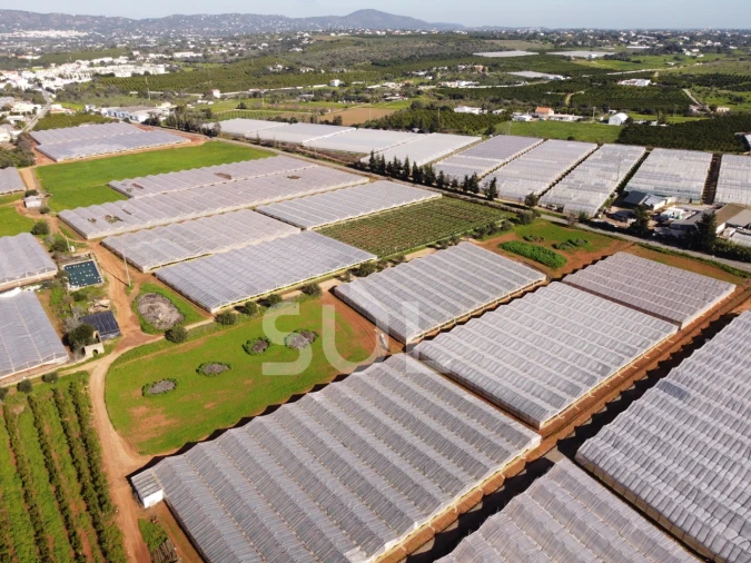 Terreno para Venda em Conceição e Estoi Foto 18