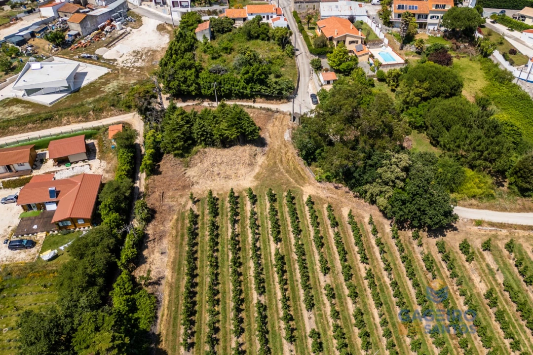 Terreno para Venda em Cela Foto 3