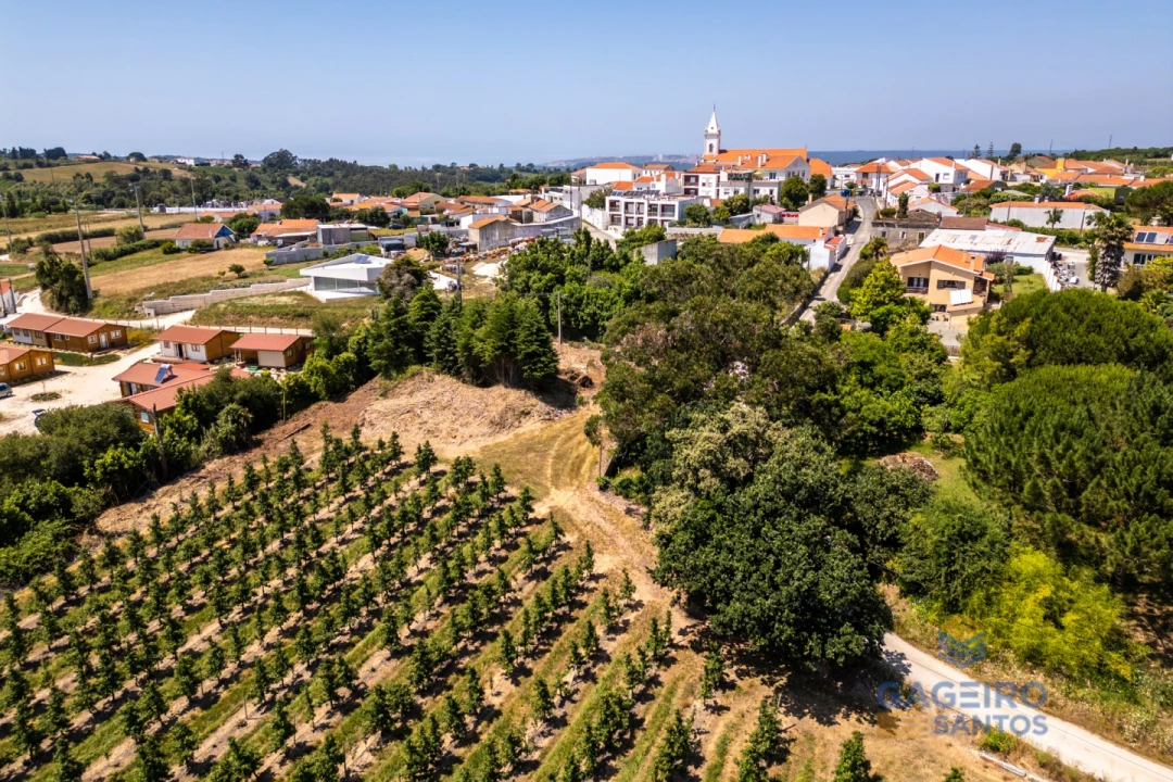 Terreno para Venda em Cela Foto 4