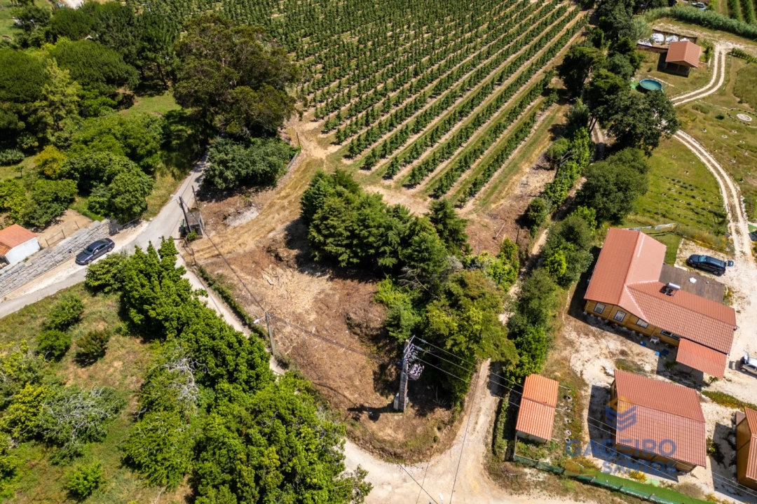 Terreno para Venda em Cela Foto 7