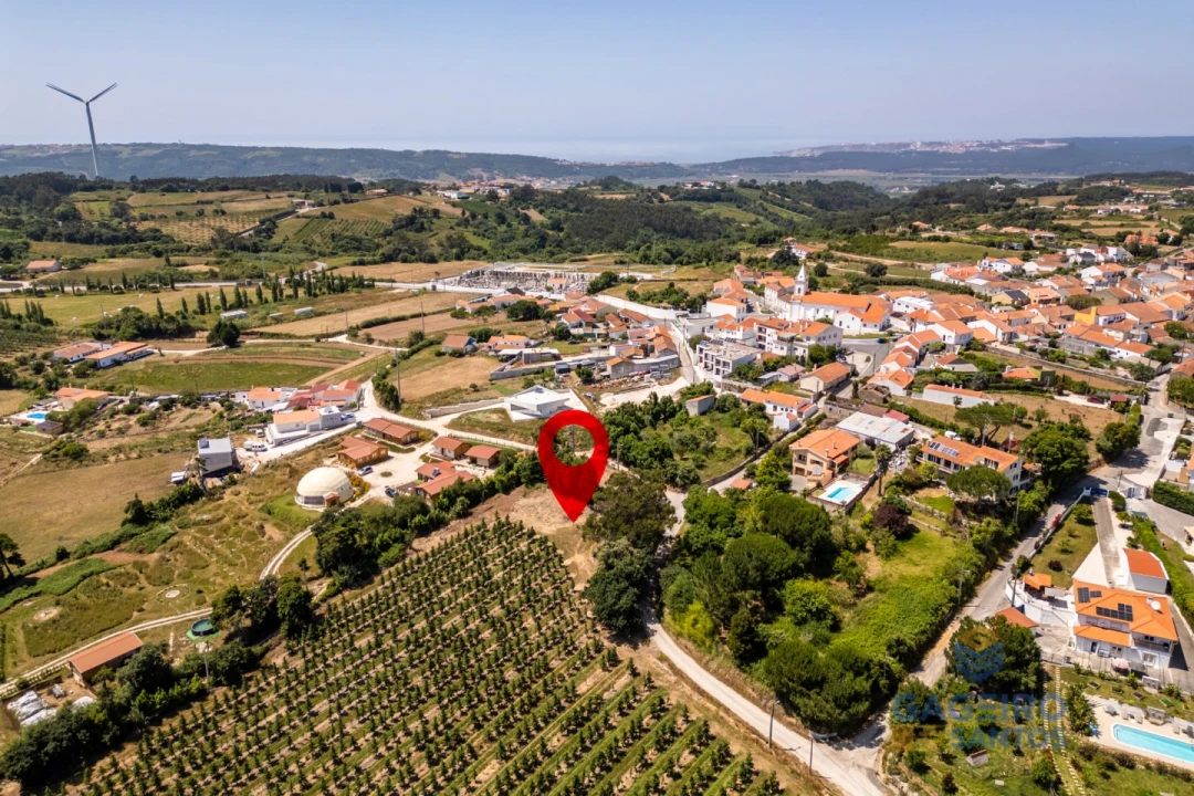 Terreno para Venda em Cela Foto 14