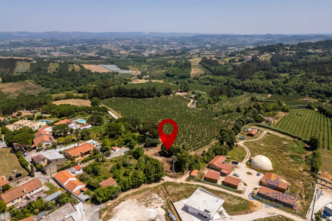 Terreno para Venda em Cela Foto 18