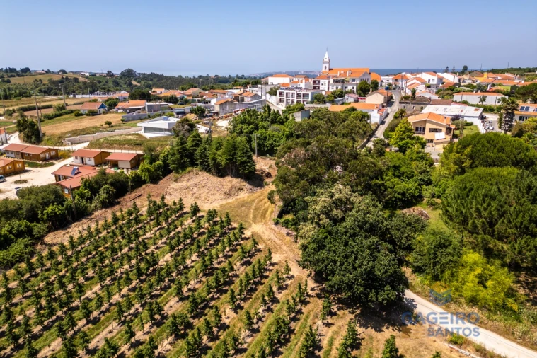 Terreno para Venda em Cela Foto 4