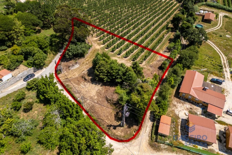 Terreno para Venda em Cela Foto 6