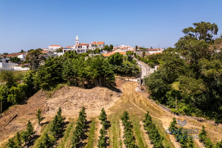 Terreno para Venda em Cela Foto 10