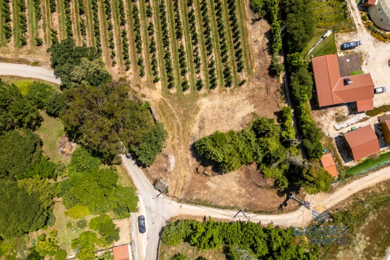 Terreno para Venda em Cela Foto 11