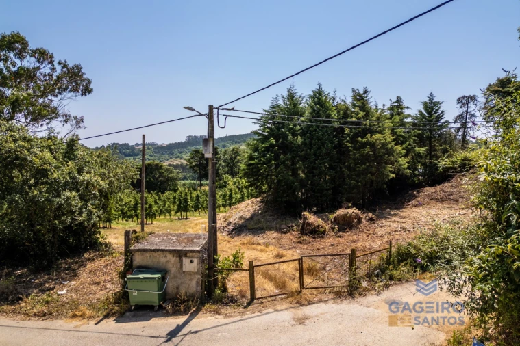 Terreno para Venda em Cela Foto 12