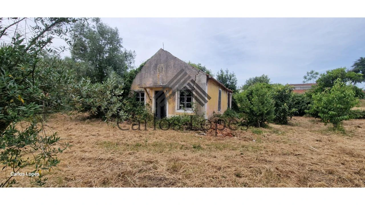 Terreno para Venda em Antuzede e Vil de Matos Foto 3