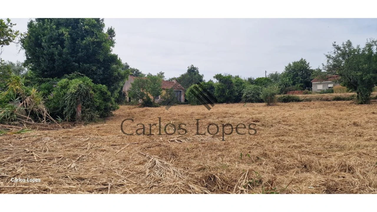 Terreno para Venda em Antuzede e Vil de Matos Foto 4