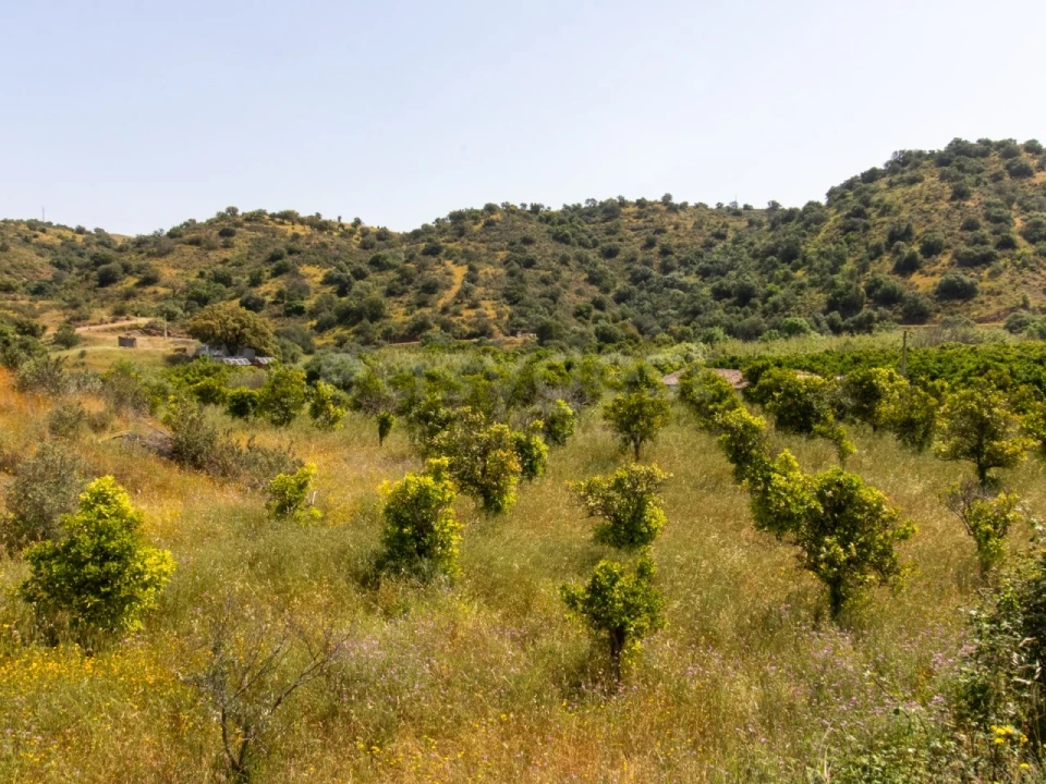 Quinta T4 para Venda em Castro Marim Foto 19