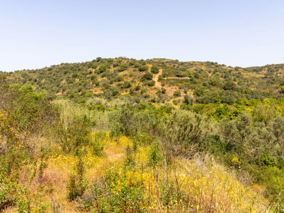 Quinta T4 para Venda em Castro Marim Foto 21