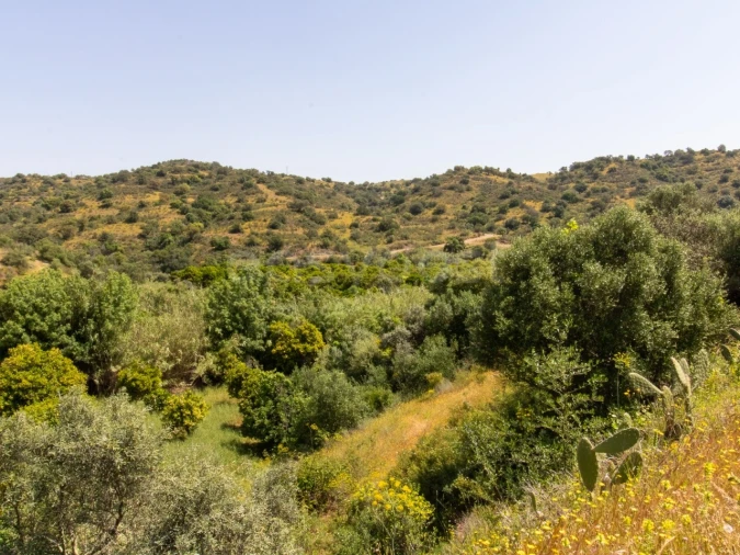 Quinta T4 para Venda em Castro Marim Foto 20