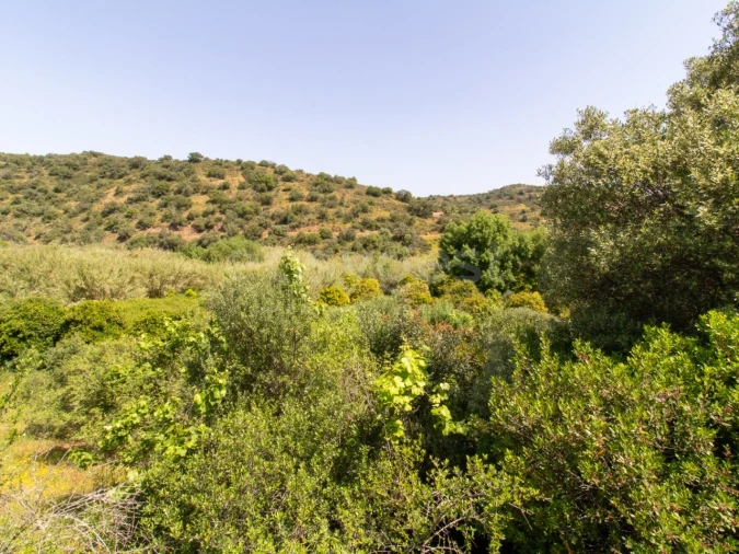 Quinta T4 para Venda em Castro Marim Foto 23