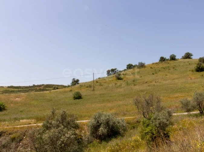 Quinta T4 para Venda em Castro Marim Foto 24