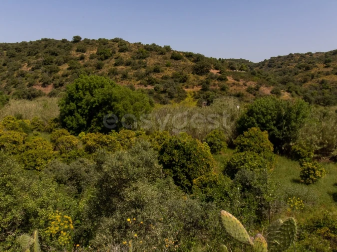 Quinta T4 para Venda em Castro Marim Foto 25