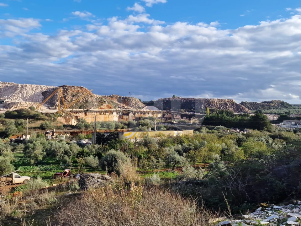 Terreno para Venda em Borba (Matriz) Foto 12