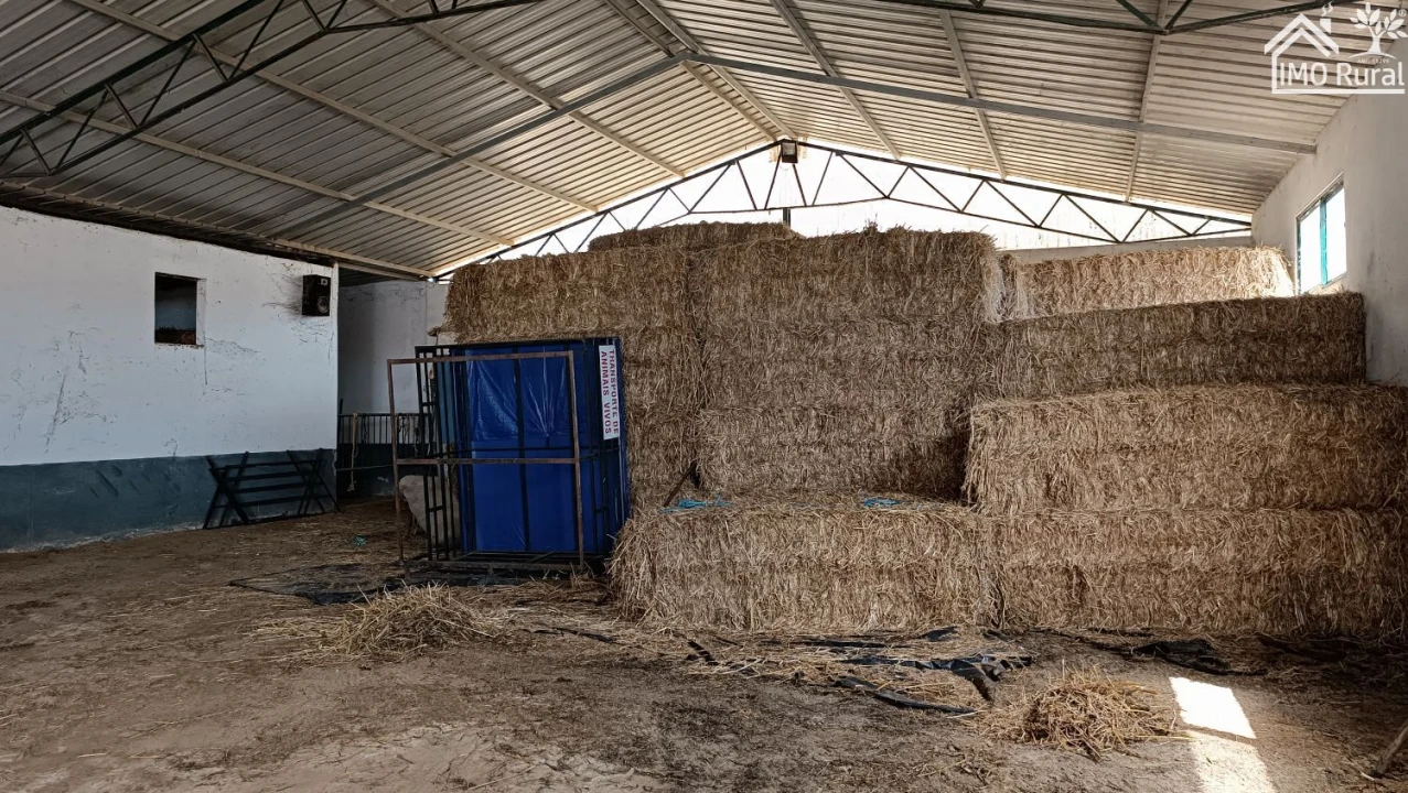 Loja para Venda em Terrugem e Vila Boim Foto 9