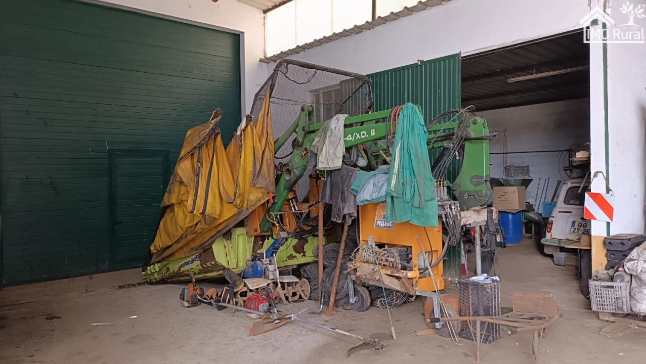 Loja para Venda em Terrugem e Vila Boim Foto 20