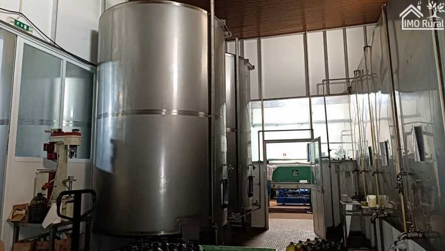 Loja para Venda em Terrugem e Vila Boim Foto 24