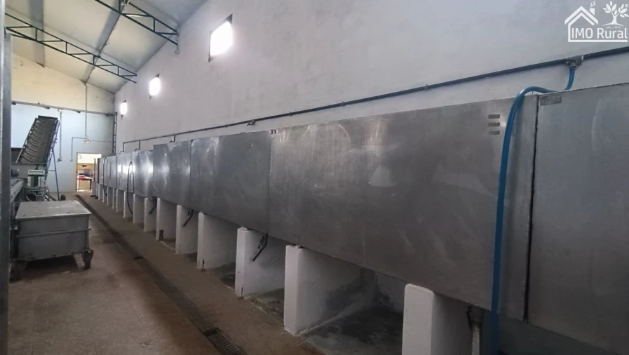 Loja para Venda em Terrugem e Vila Boim Foto 40