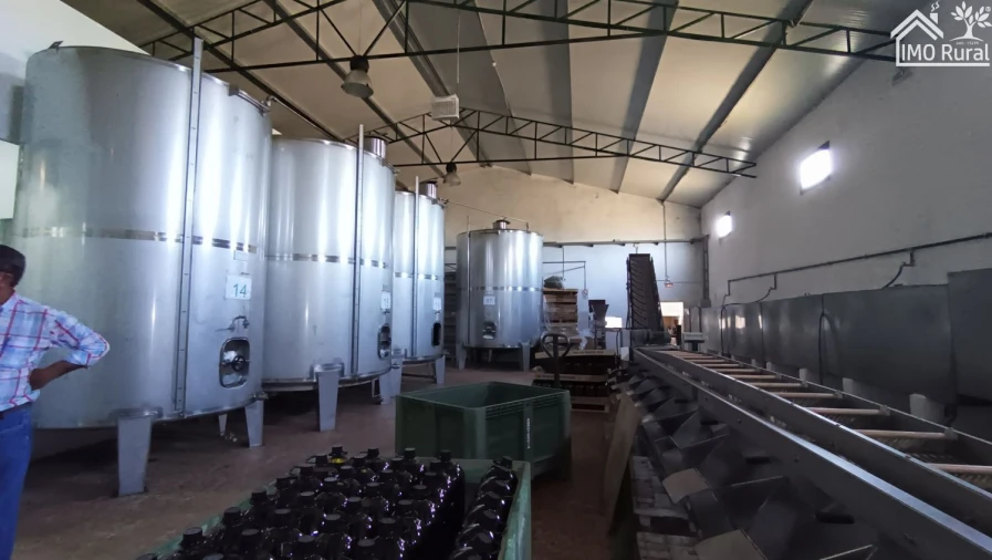 Loja para Venda em Terrugem e Vila Boim Foto 25