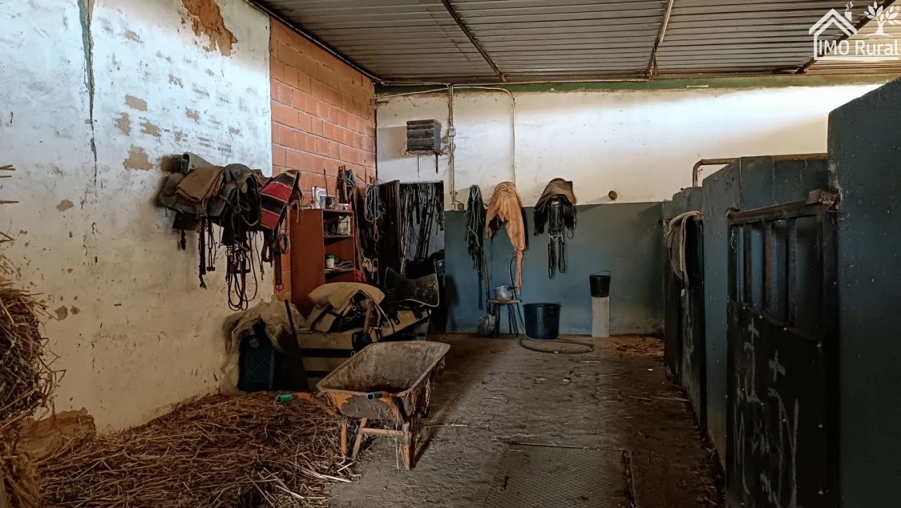 Loja para Venda em Terrugem e Vila Boim Foto 13
