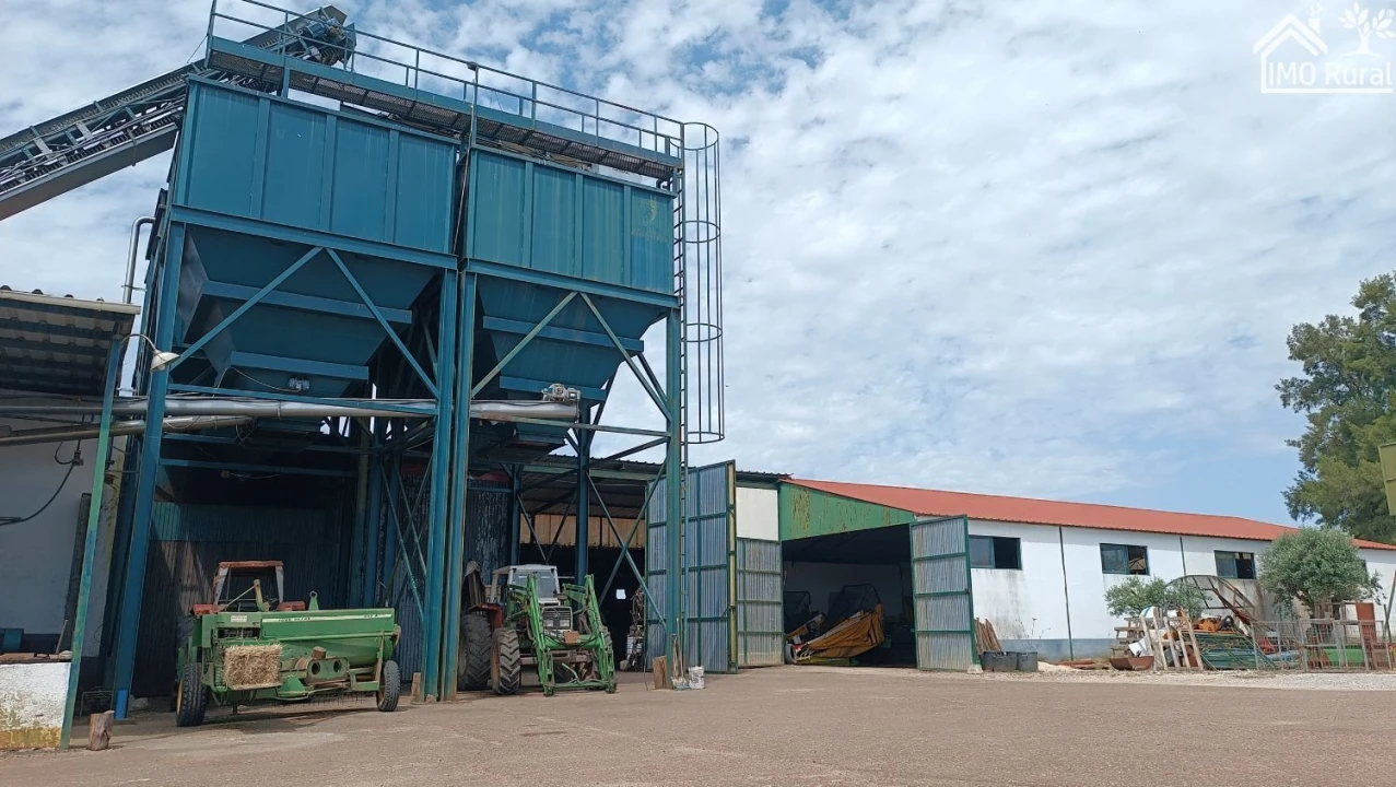 Loja para Venda em Terrugem e Vila Boim Foto 4