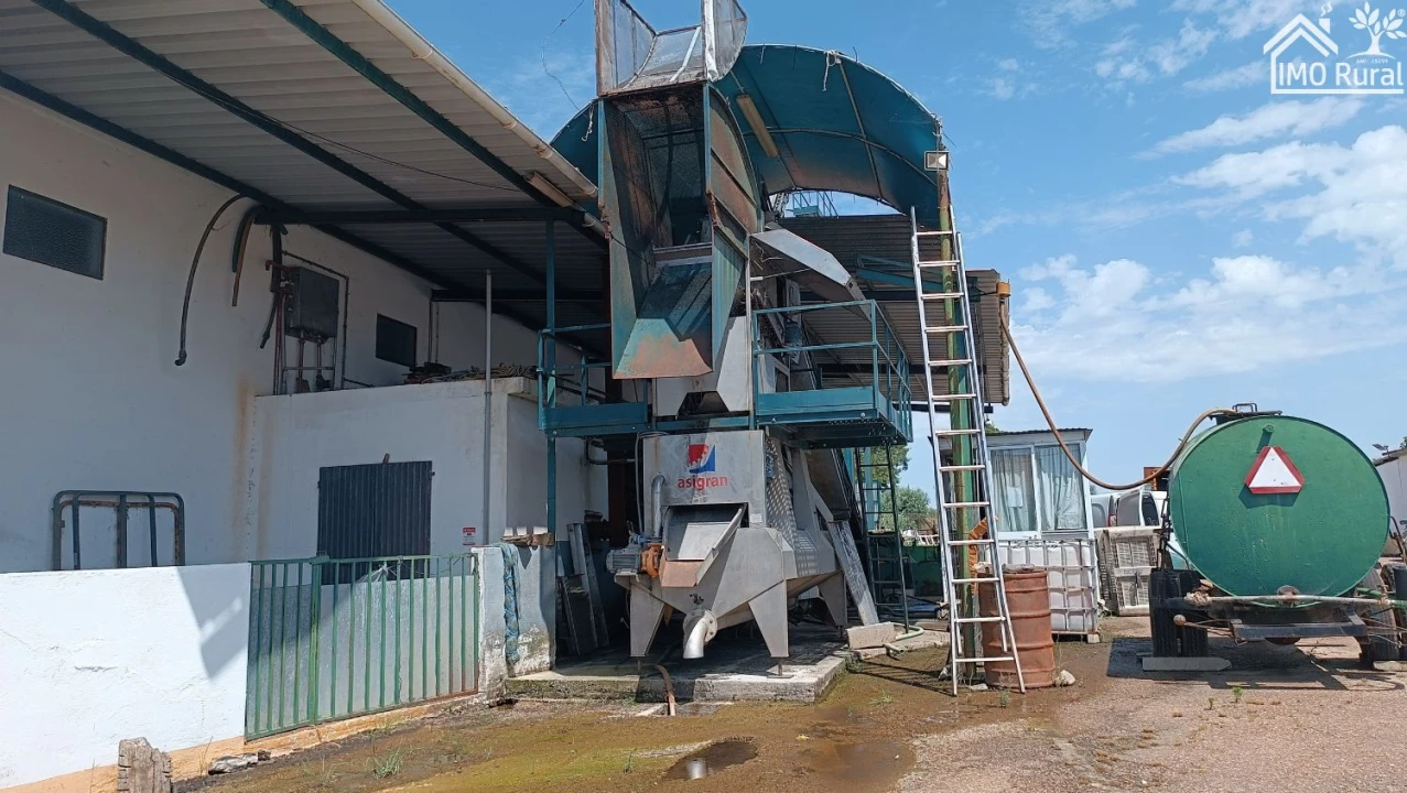 Loja para Venda em Terrugem e Vila Boim Foto 35