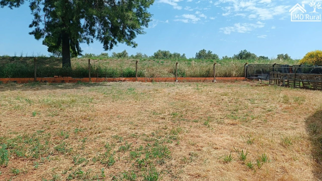 Loja para Venda em Terrugem e Vila Boim Foto 10