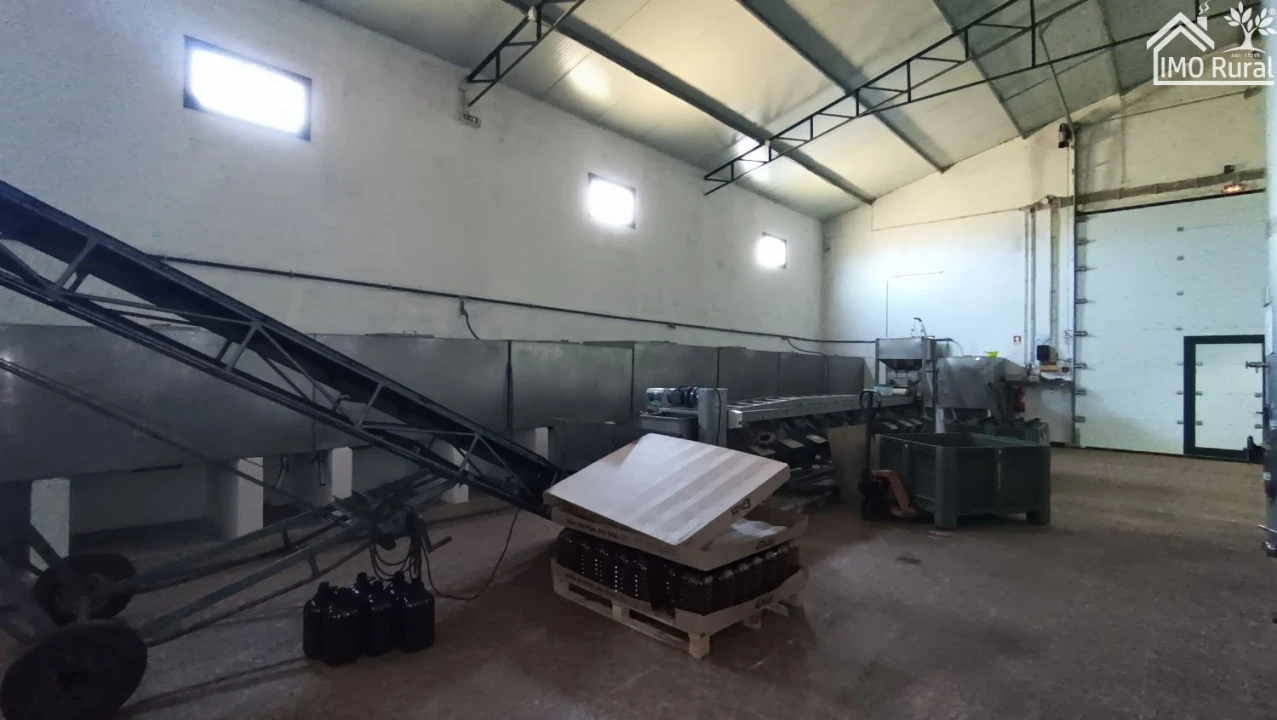 Loja para Venda em Terrugem e Vila Boim Foto 26