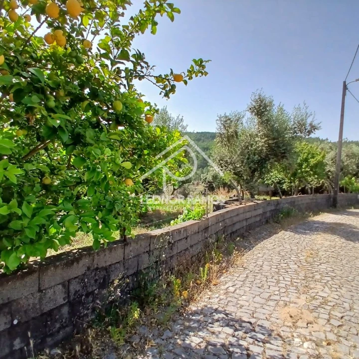 Moradia T2 para Venda em Proença-A-Nova e Peral Foto 2