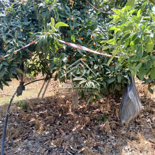 Moradia T2 para Venda em Proença-A-Nova e Peral Foto 27