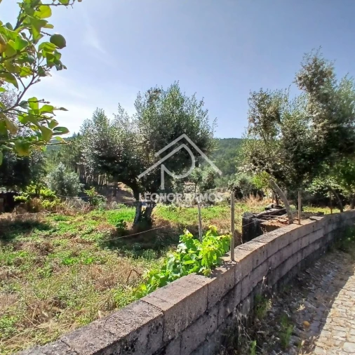 Moradia T2 para Venda em Proença-A-Nova e Peral Foto 1