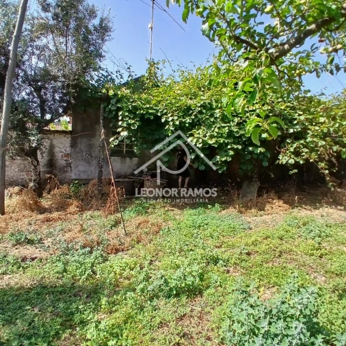 Moradia T2 para Venda em Proença-A-Nova e Peral Foto 10