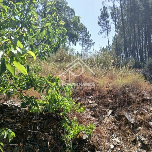 Moradia T2 para Venda em Proença-A-Nova e Peral Foto 32