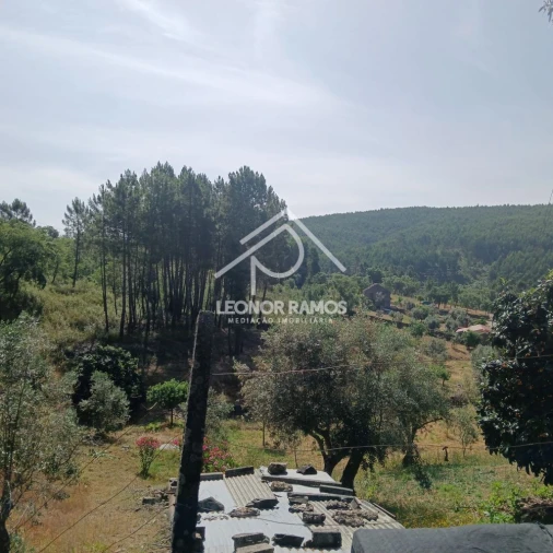 Moradia T2 para Venda em Proença-A-Nova e Peral Foto 12