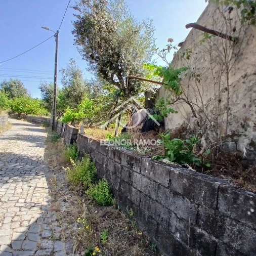 Moradia T2 para Venda em Proença-A-Nova e Peral Foto 3