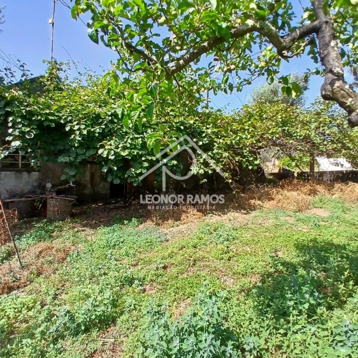 Moradia T2 para Venda em Proença-A-Nova e Peral Foto 9