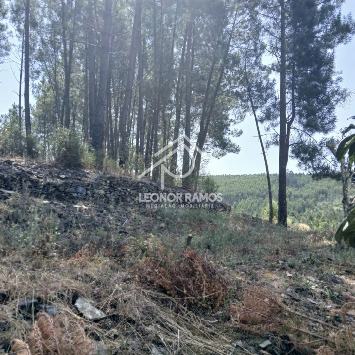 Moradia T2 para Venda em Proença-A-Nova e Peral Foto 33