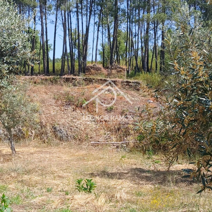 Moradia T2 para Venda em Proença-A-Nova e Peral Foto 34