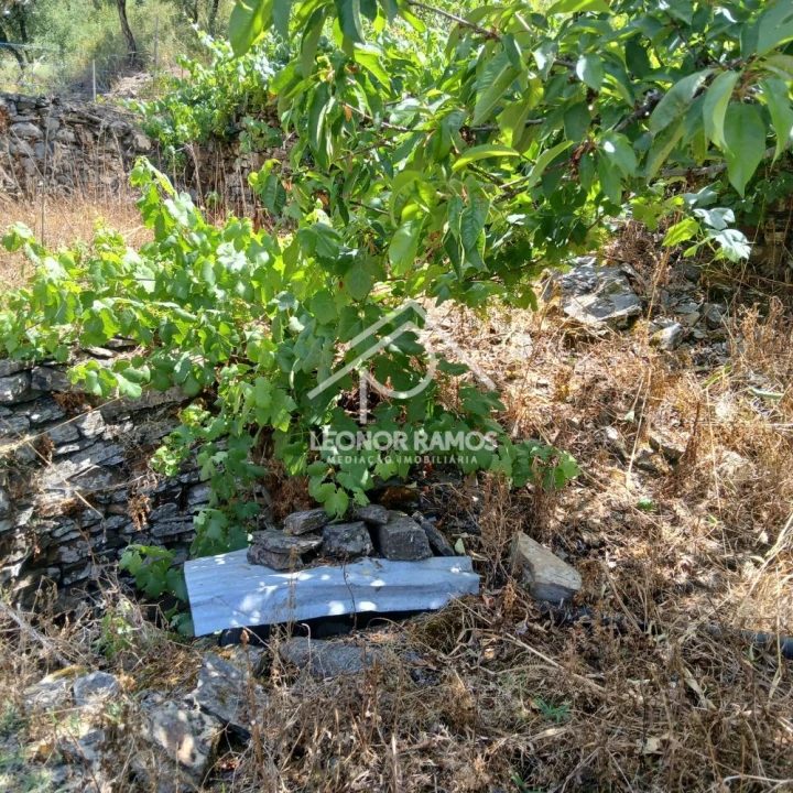 Moradia T2 para Venda em Proença-A-Nova e Peral Foto 26