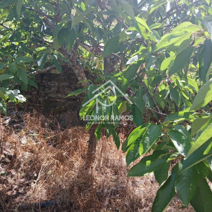 Moradia T2 para Venda em Proença-A-Nova e Peral Foto 31