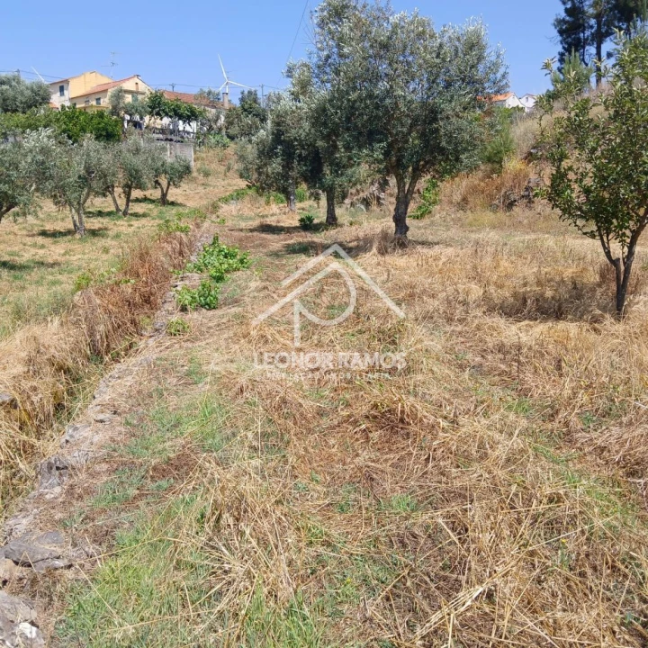 Moradia T2 para Venda em Proença-A-Nova e Peral Foto 25