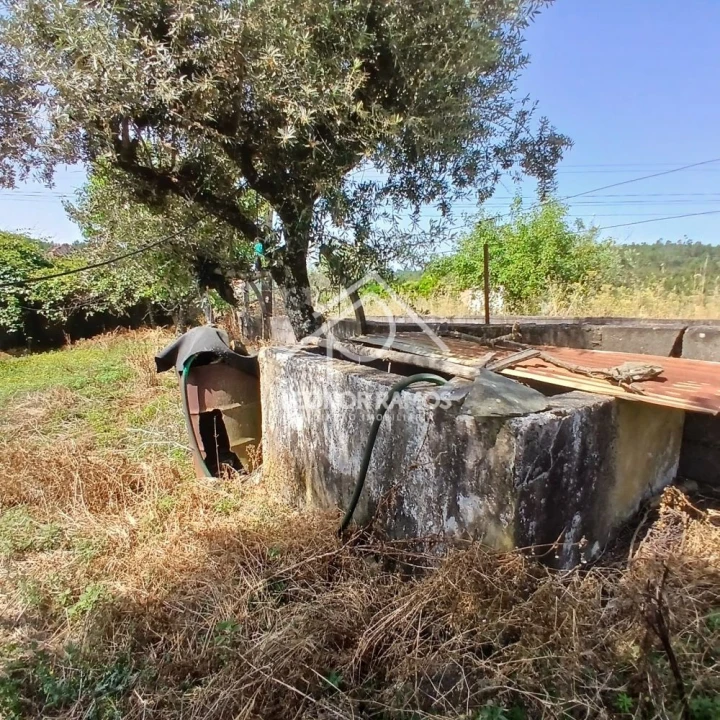 Moradia T2 para Venda em Proença-A-Nova e Peral Foto 8