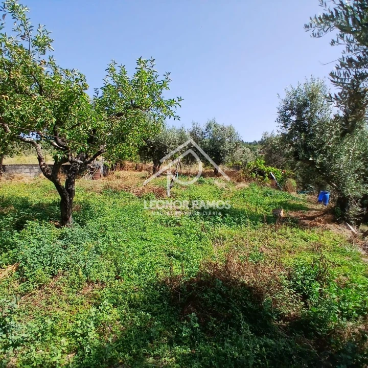 Moradia T2 para Venda em Proença-A-Nova e Peral Foto 11