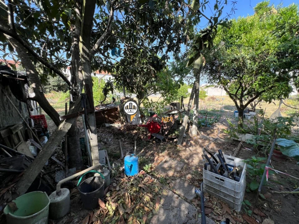 Terreno para Venda em Castelo Branco Foto 12