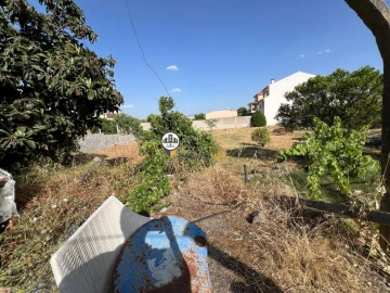 Terreno para Venda em Castelo Branco