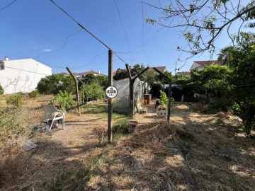 Terreno para Venda em Castelo Branco