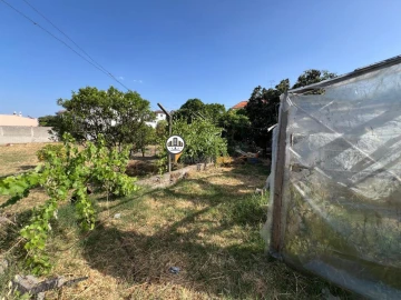 Terreno para Venda em Castelo Branco